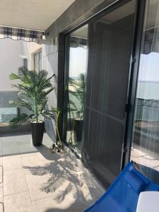 Astoria Lux Sea&Lake 66