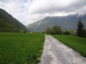 Apartment MT Bovec 