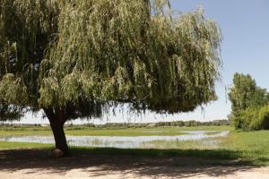 Appartements Mas du Versadou, dans un espace naturel protege, piscine couverte chauffee toute l'annee, Spa et salle de jeux : photos des chambres