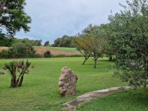 Podere Cala Viola img63