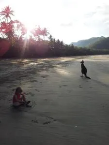 Seaforth Holiday Units - Kuttabul