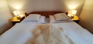 Drevenička U Ježka