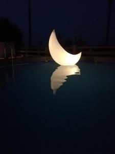 Country House DAFNI with his pets