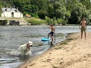 Maisons de vacances Au Coeur des Vignes : photos des chambres