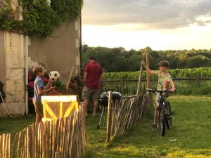 Maisons de vacances Au Coeur des Vignes : photos des chambres