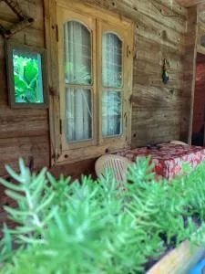 Wooden House Tsikhisdziri - 提斯基斯迪里