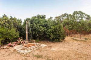 Casa vacanza Asfodeli img21