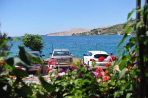 Apartments Draga - 15m from beach