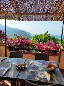 Casa de rosa - Centola