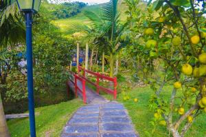 Hospedaria Rancho Ferreira