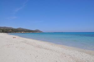 Green Village Resort img33