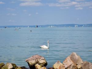 Siófok Sophia Apartman