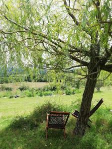 Appartements Le Grand Bayle - Oasis Naturelle : photos des chambres