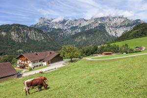 Ferienwohnung Ertlerlehen
