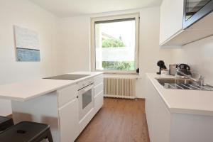 Alpenblick - modernes und großzügiges Apartment