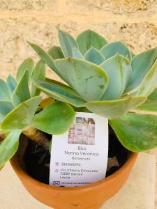 Camera Matrimoniale con Bagno Privato