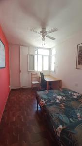 Apartamento sol, mar y ardillas