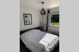 Villas Mas avec piscine et jacuzzi sur Argeles sur Mer : photos des chambres