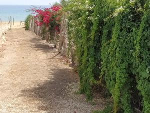 Casa Isola Correnti a 50mt dalla spiaggia