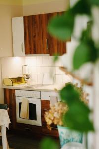 Apartmán "Pod Rokem"