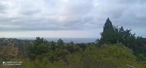 House Italia Holiday