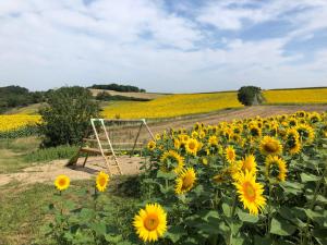 Maisons de vacances les gites d'en Julio : photos des chambres