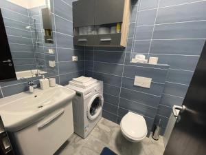 RHIZOME well anchored in the city center