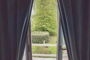 B&B / Chambres d'hotes Chateau De Grosfy : photos des chambres