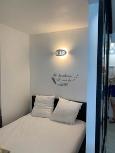 Appartements Le Lamartine, vue magnifique face au Lac du Bourget : photos des chambres