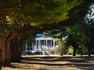 Langfields - Spring Hill