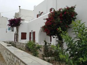 Irene Hotel - Beachfront