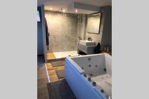 Appartements Nid d’amour- SPA- Superbe appartement avec jacuzzi : photos des chambres