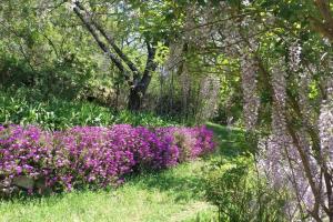 casa das laranjeiras