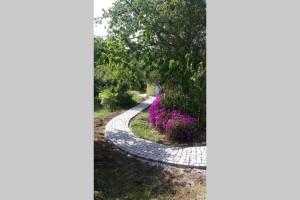 casa das laranjeiras