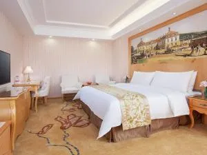 Vienna Hotel Guangdong Heyuan Lianping - Nanxiong