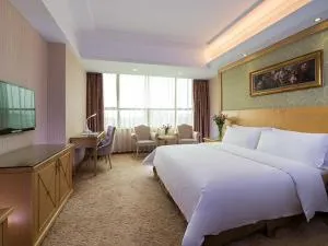 维也纳酒店东莞塘厦林村广场店 - Shangmazhuang