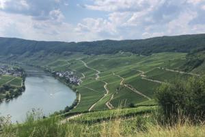 Ferienwohnung Moselgold