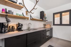 Modern Alpine Monsalbius Chalet