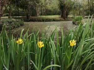 B&B / Chambres d'hotes Moulin de la Diversiere : photos des chambres