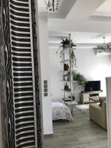 Cosy studio 35m2