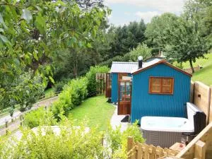 Little Silver Pheasant - Chittlehamholt