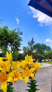 Casa Andreea și Grigore Ursu