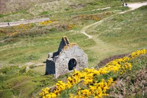 Maisons de vacances Les Oiseaux : photos des chambres