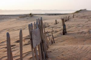 Maisons de vacances Les Oiseaux : photos des chambres