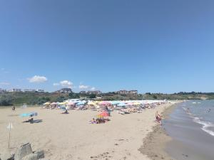 Loli’s Beach Studio