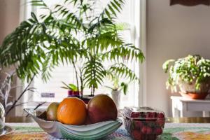 Dont Get Stucked In Boston Traffic