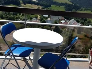 Appartements Studio Villard-de-Lans, 1 piece, 3 personnes - FR-1-515-105 : photos des chambres