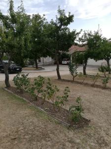 Bed and Breakfast "POGGIO MARANO"