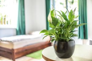 Apartament z parkingiem