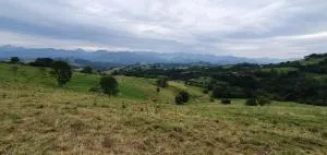 La Pescal - San Antonio